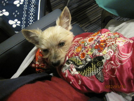 f:id:frankmama:20120313192715j:image
