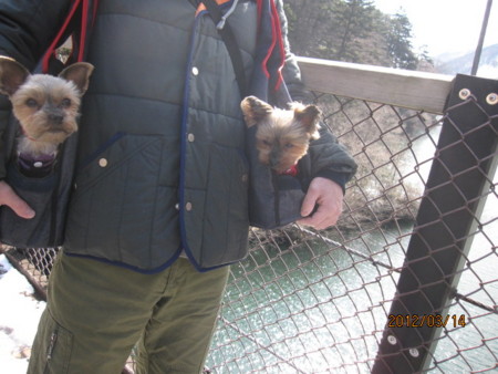 f:id:frankmama:20120314102802j:image