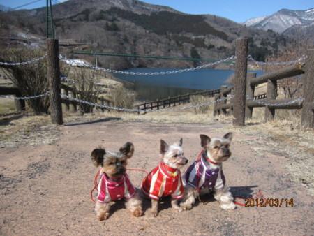 f:id:frankmama:20120314105354j:image