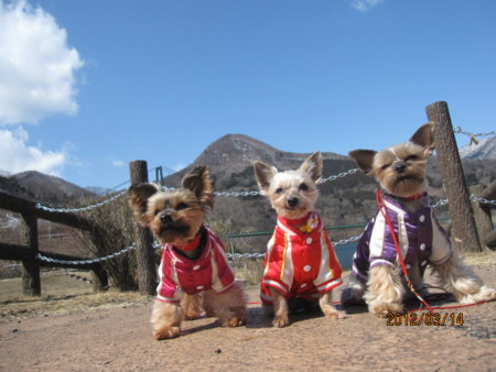 f:id:frankmama:20120314105408j:image