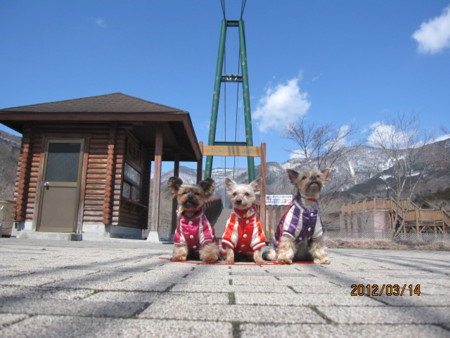 f:id:frankmama:20120314110147j:image