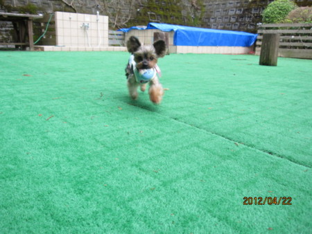 f:id:frankmama:20120422133614j:image