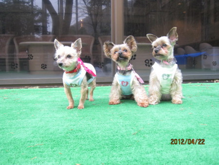 f:id:frankmama:20120422133652j:image