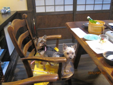 f:id:frankmama:20120508181102j:image