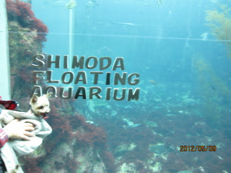 f:id:frankmama:20120509121120j:image