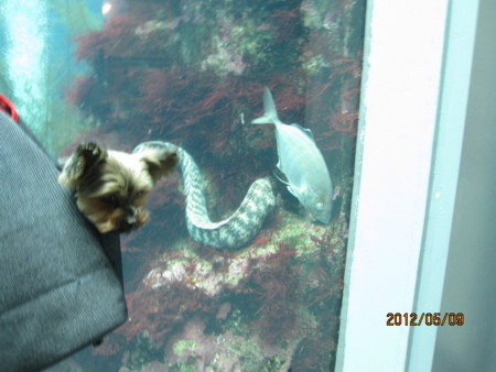 f:id:frankmama:20120509121230j:image