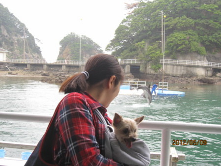 f:id:frankmama:20120509130210j:image