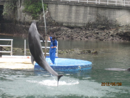 f:id:frankmama:20120509131052j:image