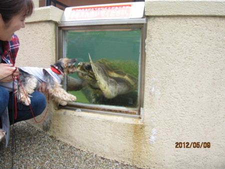 f:id:frankmama:20120509133816j:image