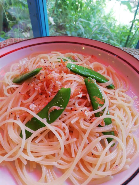 f:id:fransiscoofassisi:20190521141914j:plain