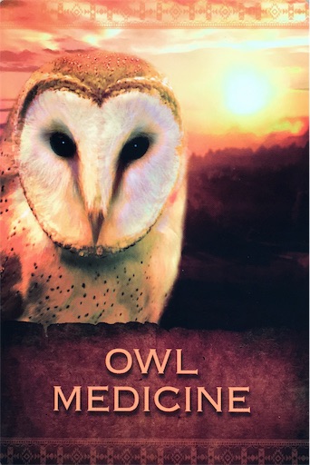 アウルメディスン Owl Medicine - カードリーディングとつぶやき