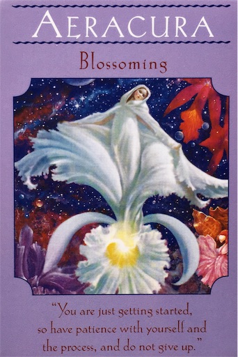 アエラキュラ 開花 AERACURA Blossoming - カードリーディングと ...