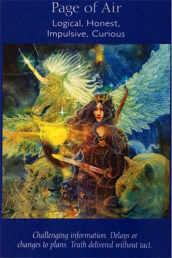 風のペイジ Page Of Air カードリーディングとつぶやき In フランス