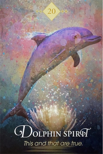 【正規品オラクルカード】美しく幻想的なイルカのデッキ✨ドルフィンハートオラクル 20 イルカのスピリット DOLPHIN SPIRIT - カードリーディング