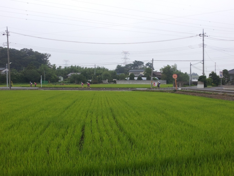 f:id:frecce:20120628074349j:image:w360 f:id:frecce:20120628074349j:image:w360