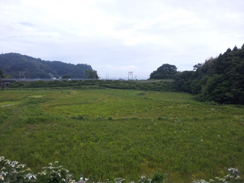 f:id:frecce:20120629101109j:image:w360
