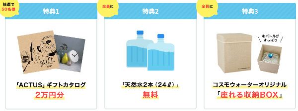 ボトルと収納ボックスは全員にプレゼント f:id:frecious_slat-hikaku:20170401161840j:plain