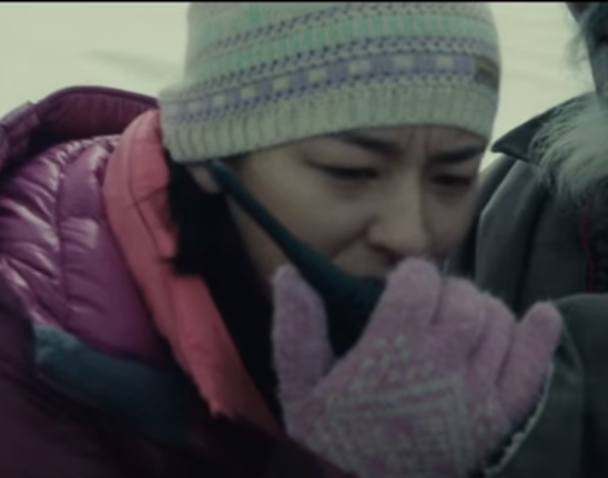映画 エヴェレスト 神々の山嶺 45点 登山モノってどうやって見たらいいのか分かんない フレデリカ Love 邦画 ネタバレ