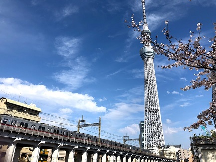 f:id:free-denshi:20191230235752j:plain