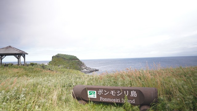f:id:free_Json:20210307174252j:image f:id:free_Json:20210307174252j:image