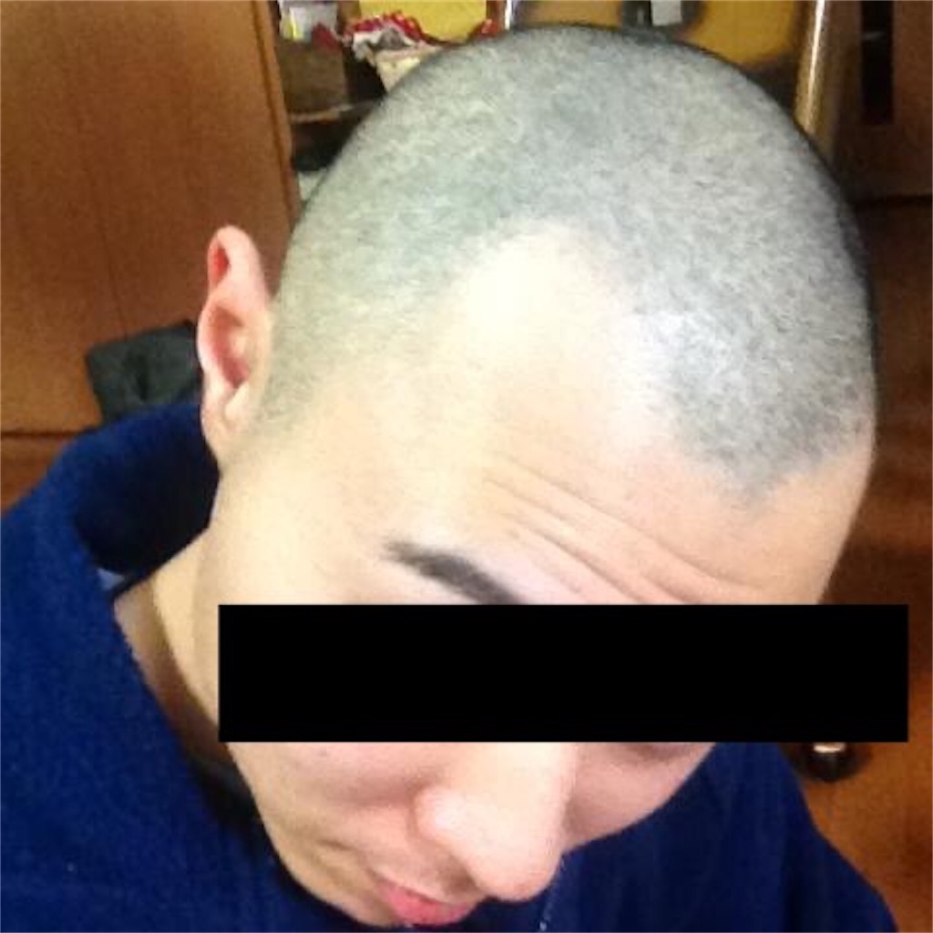 f:id:free_planet:20200706203731j:image