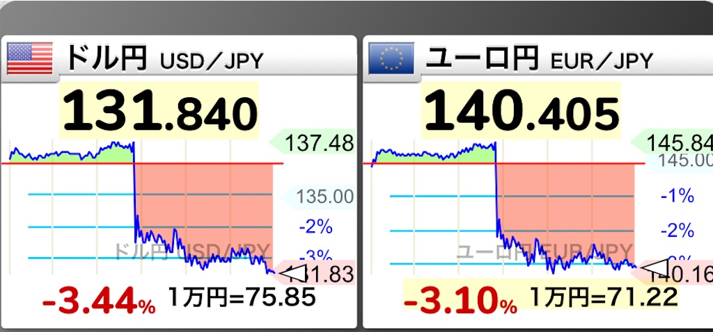 f:id:freebird_yayoimituru:20221221002906j:image