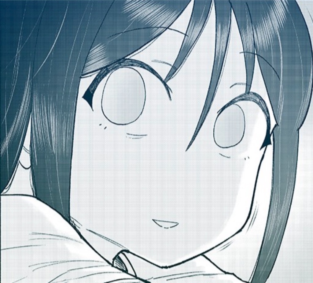 f:id:freebird_yayoimituru:20260628124703j:image