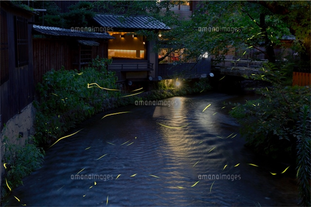 京都 ホタルが見れるスポット 非日常を求めて飛び立ちたい