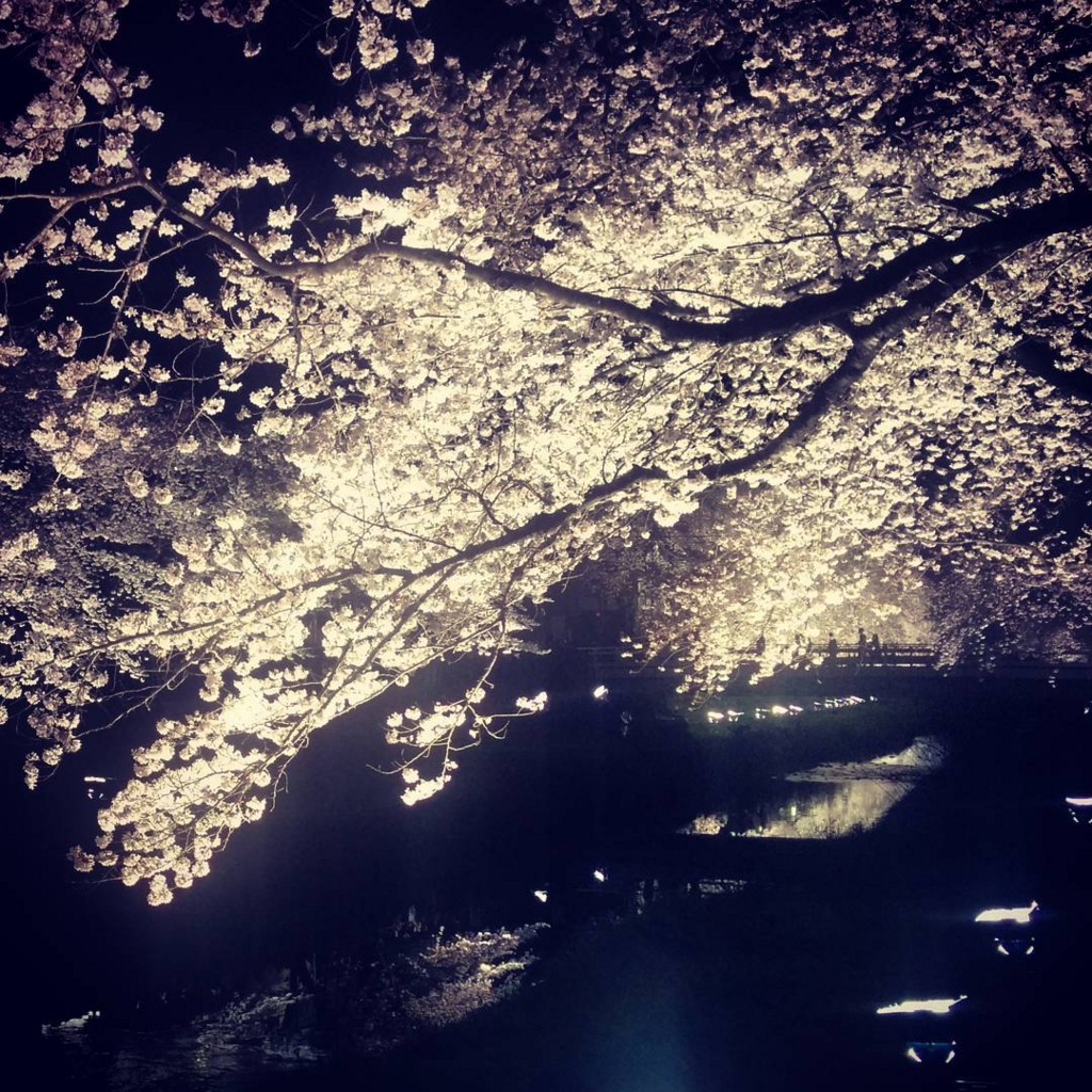 f:id:freedomofkeima:20161205003918j:plain f:id:freedomofkeima:20161205003918j:plain