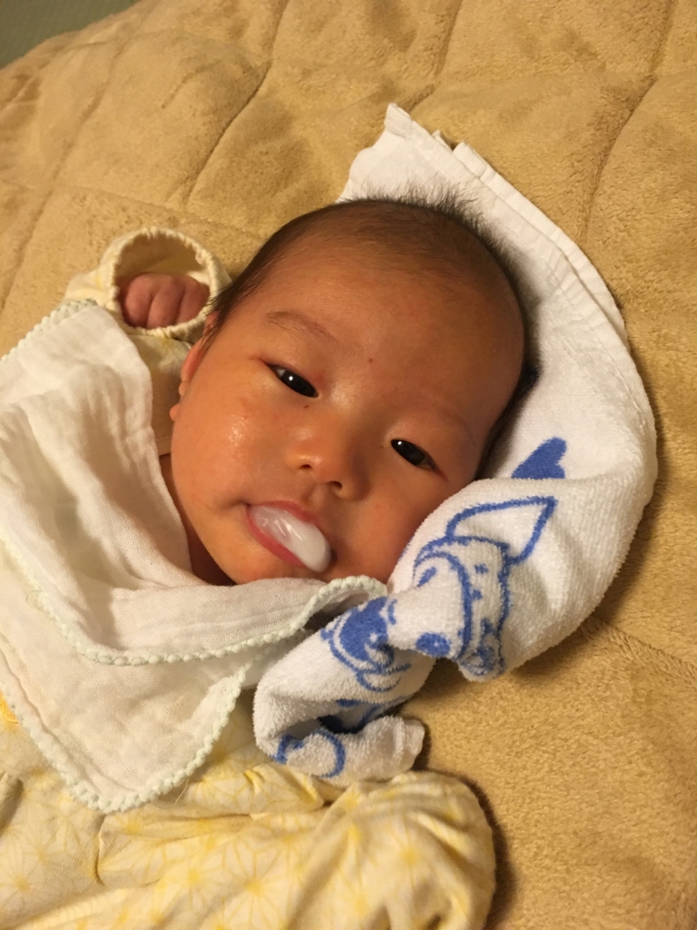 f:id:freedomtencho:20170305212558j:plain