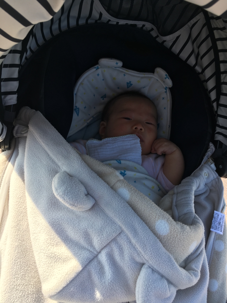 f:id:freedomtencho:20170322213450j:plain f:id:freedomtencho:20170322213450j:plain