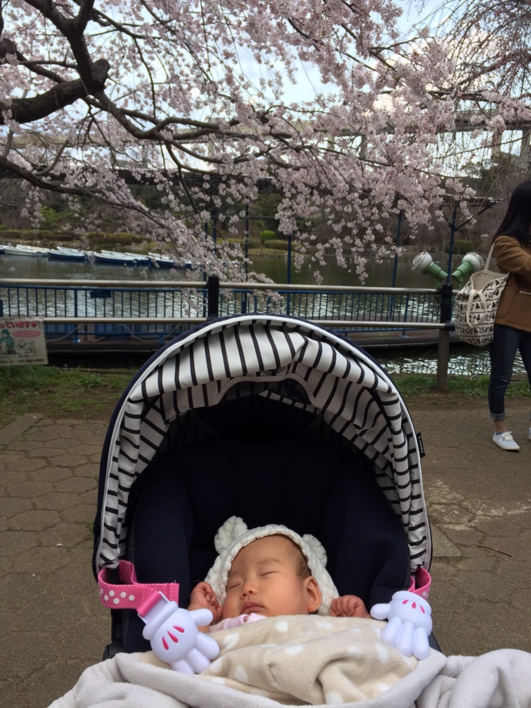 f:id:freedomtencho:20170403192924j:plain