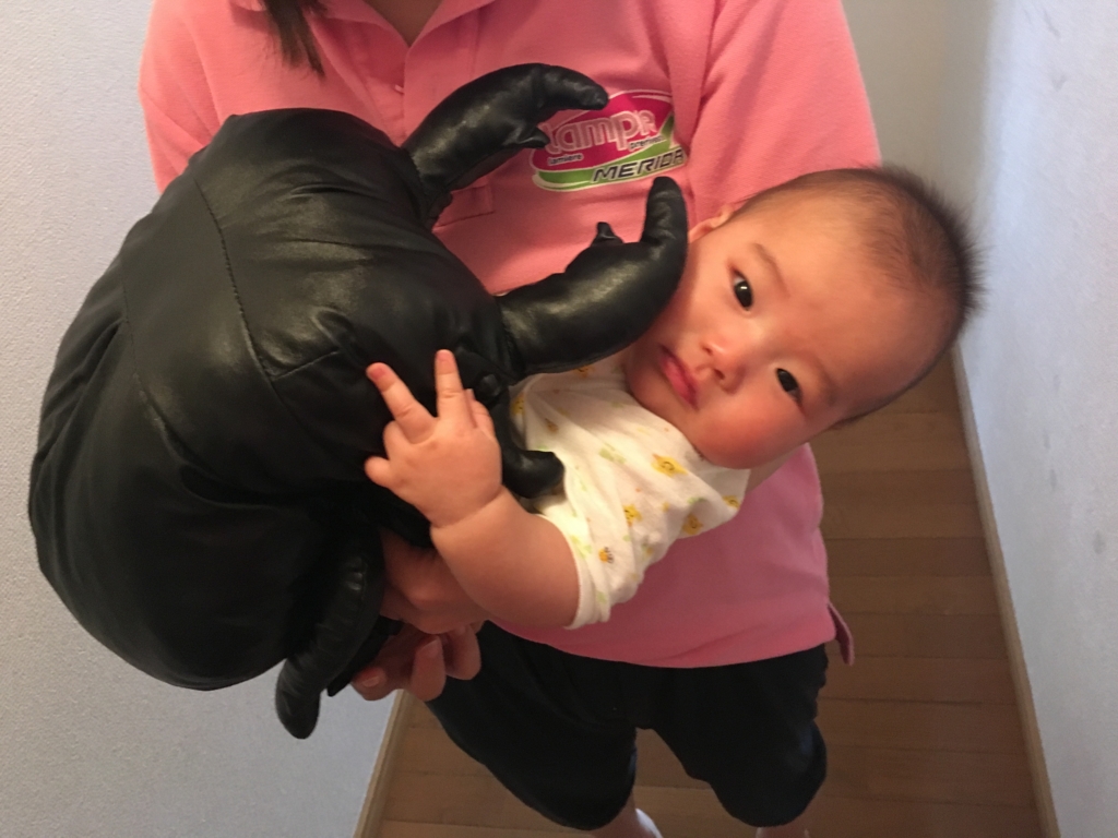 f:id:freedomtencho:20170512221711j:plain f:id:freedomtencho:20170512221711j:plain