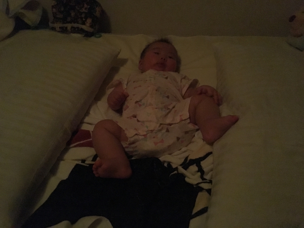 f:id:freedomtencho:20170612225012j:plain