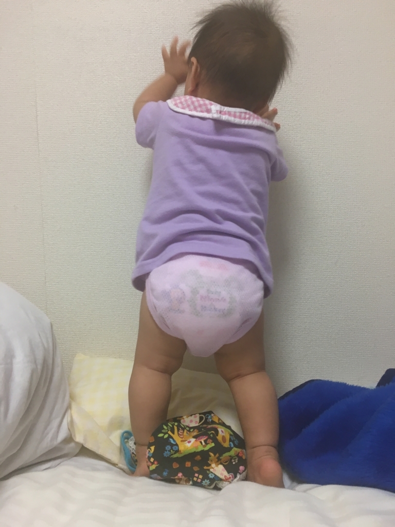 f:id:freedomtencho:20171011213259j:plain