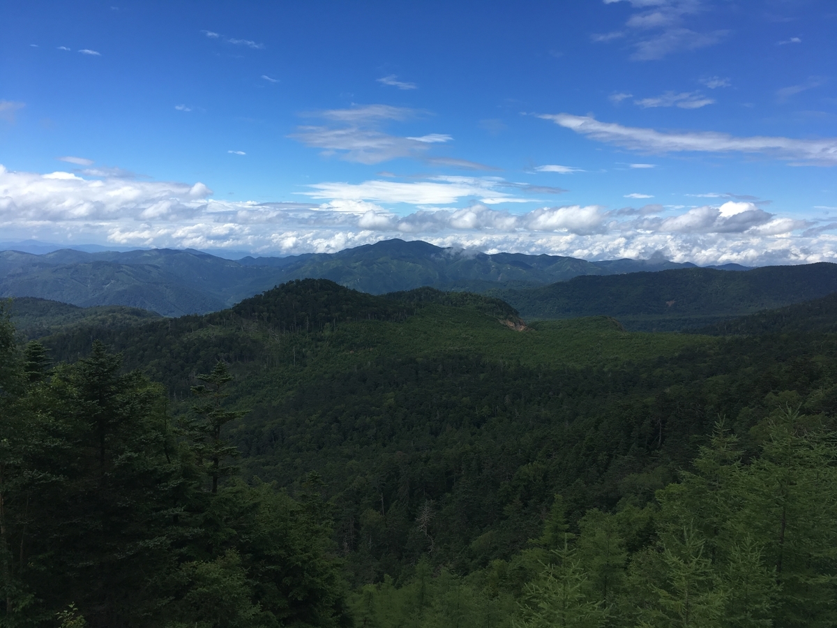 f:id:freedomtencho:20190814234711j:plain f:id:freedomtencho:20190814234711j:plain