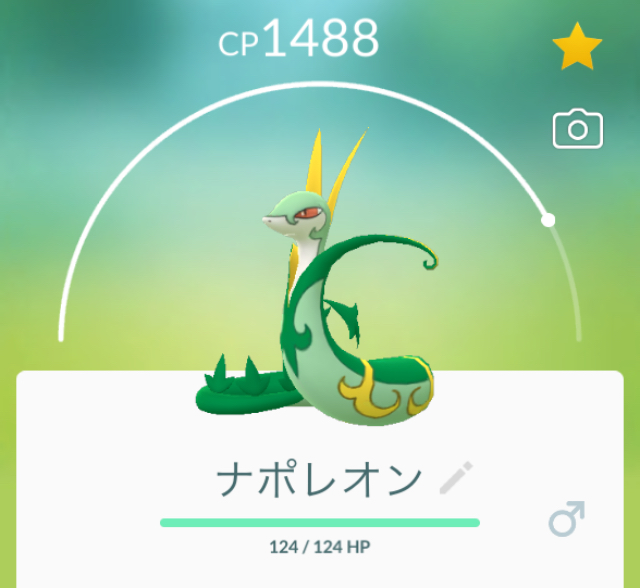 f:id:freedomtencho:20191002001424j:plain