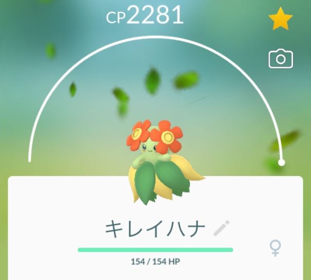 f:id:freedomtencho:20200110225655j:plain