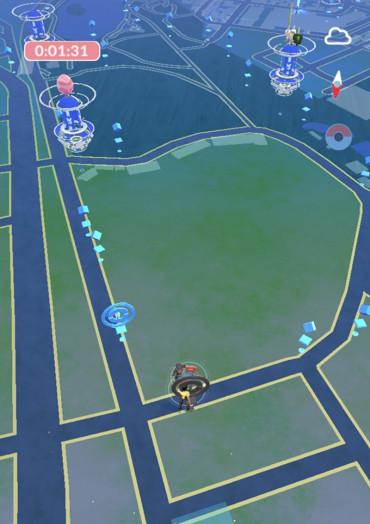 ドンファンとユキノオー Freedomtenchoのポケモンgoブログ