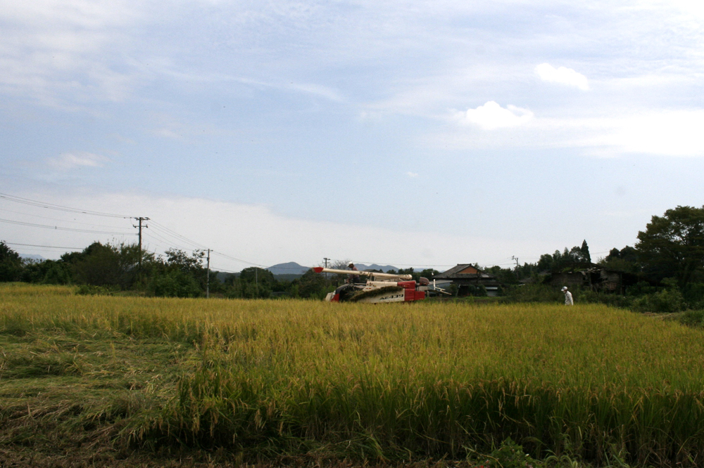 f:id:freelifetakaharu:20190930141735j:plain f:id:freelifetakaharu:20190930141735j:plain