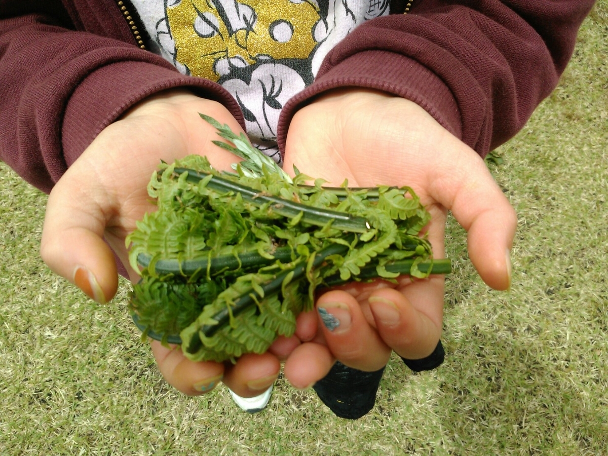 f:id:freemyself:20210517195226j:plain