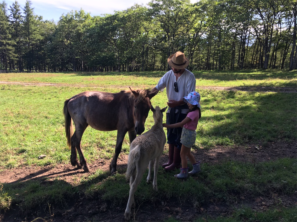 f:id:freemyself:20220109202740j:image