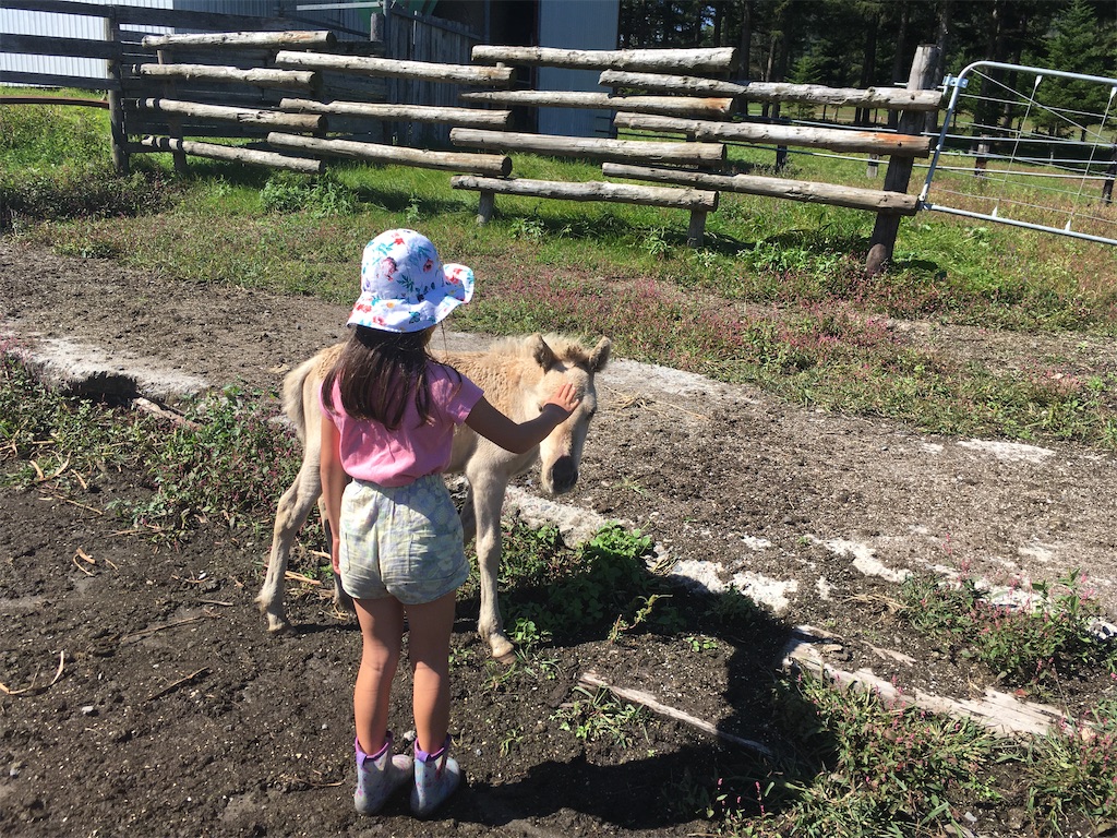 f:id:freemyself:20220109202827j:image