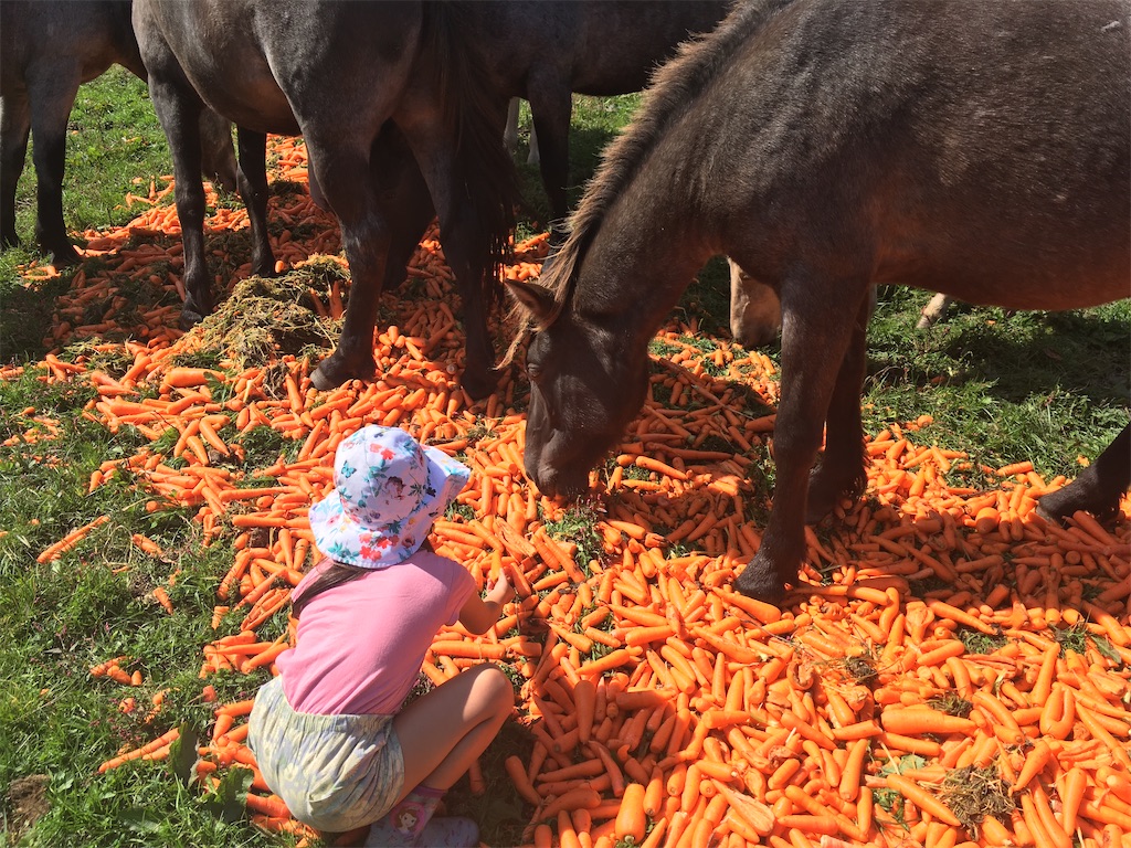 f:id:freemyself:20220109202935j:image