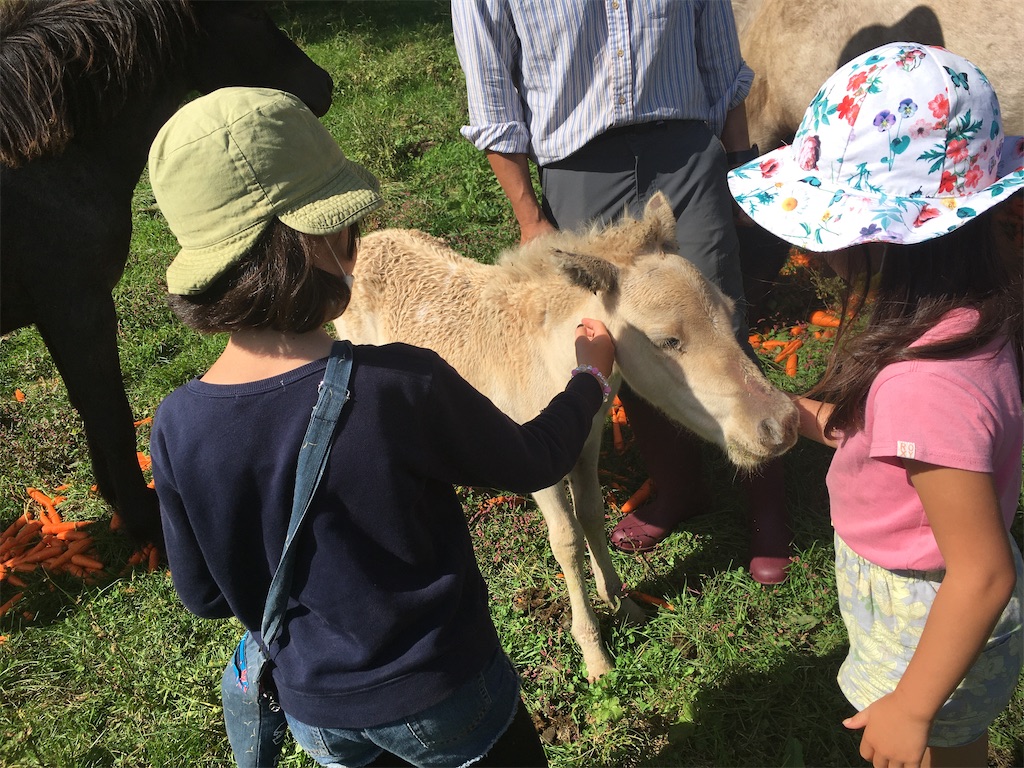 f:id:freemyself:20220109203039j:image