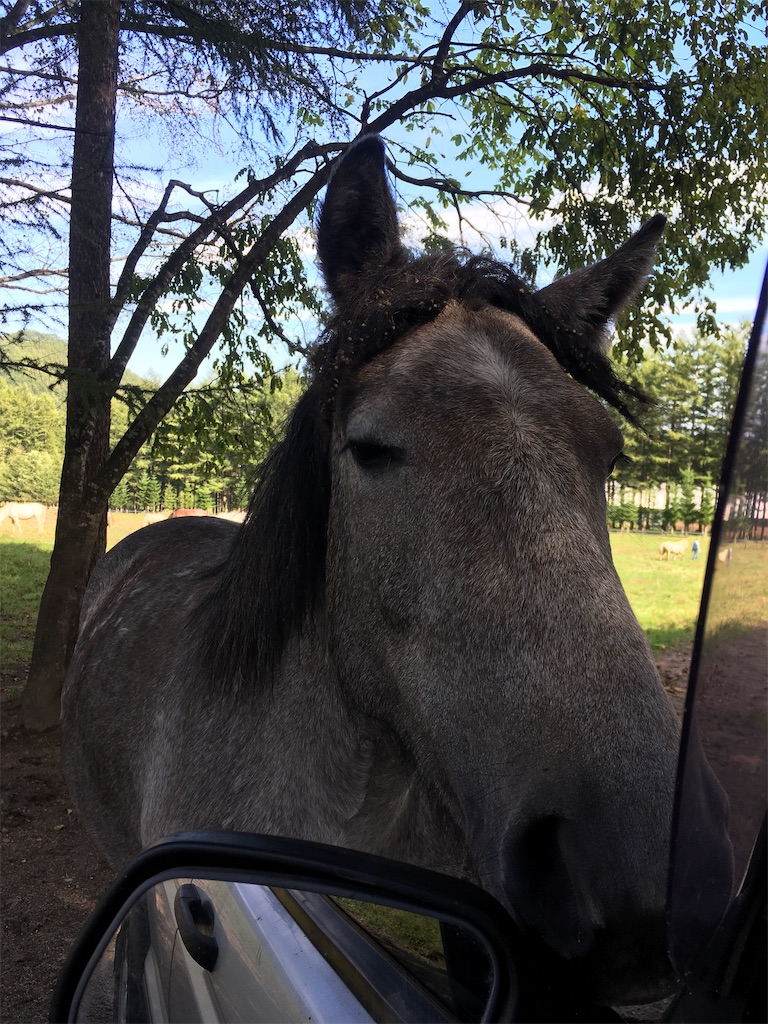 f:id:freemyself:20220109203130j:image