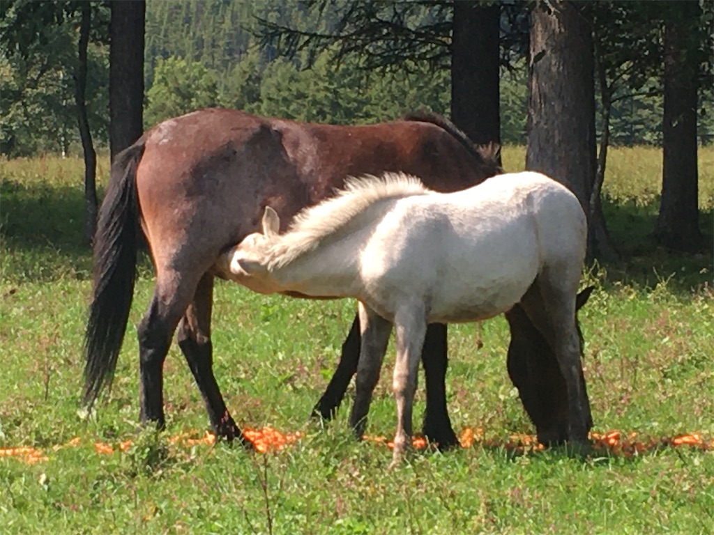 f:id:freemyself:20220109203300j:image