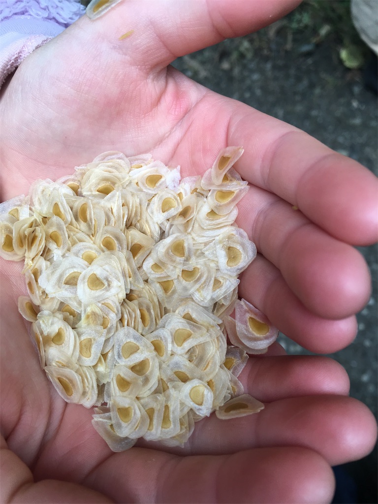 f:id:freemyself:20220110084710j:image