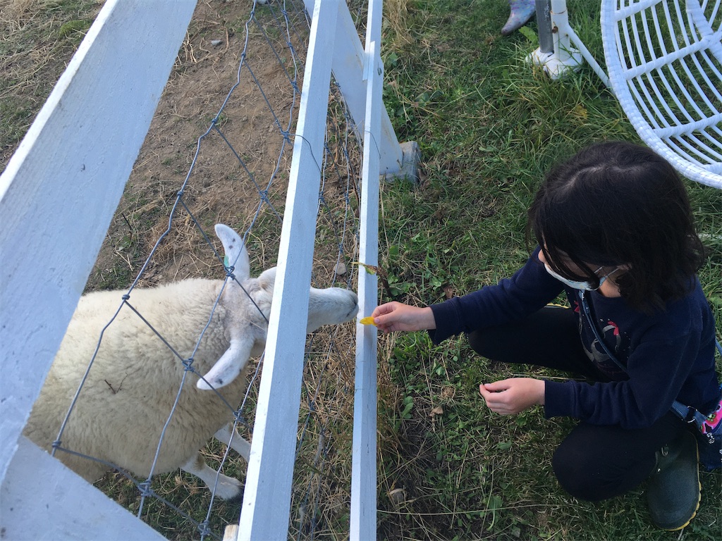 f:id:freemyself:20220110084716j:image