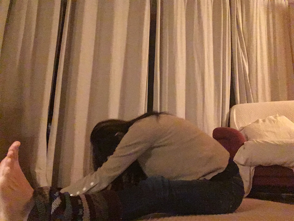 f:id:freemyself:20221211193633j:image